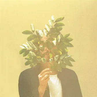 French Kiwi Juice by FKJ