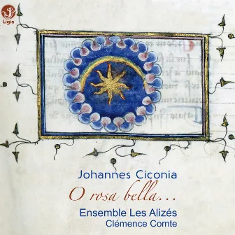 Ciconia: O rosa bella by Johannes Ciconia