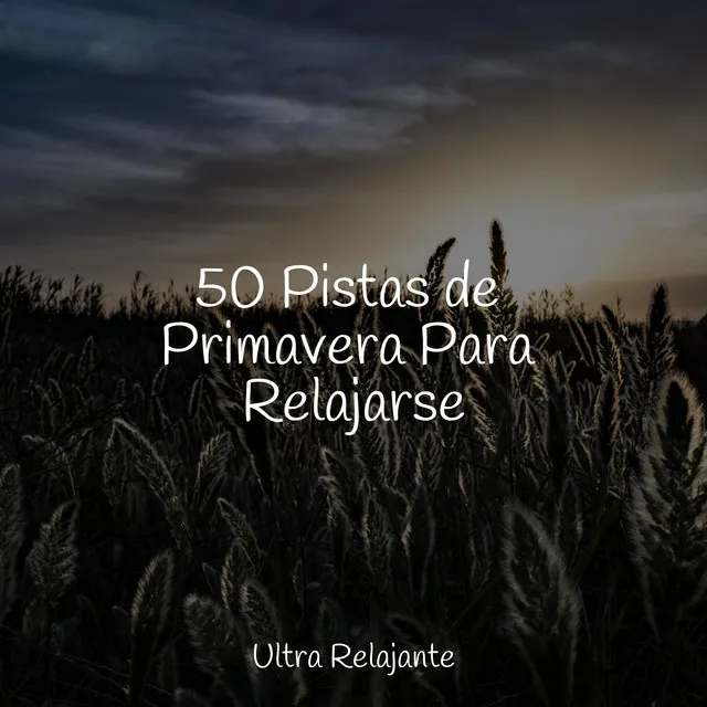 50 Pistas de Primavera Para Relajarse