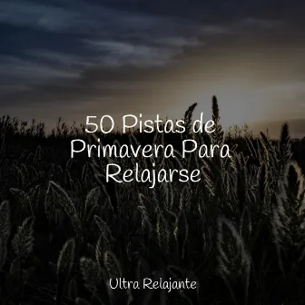 50 Pistas de Primavera Para Relajarse by Relajar