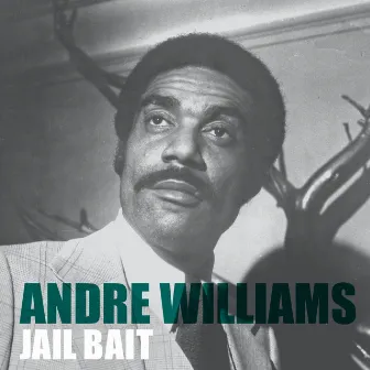 Jail Bait by Andre Williams