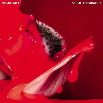 Social Lubrication by Dream Wife