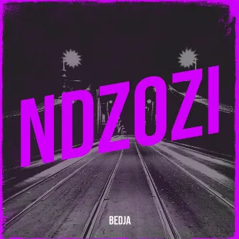 Ndzozi by 