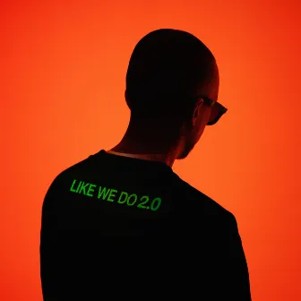 Like We Do 2.0 by Jay Psar