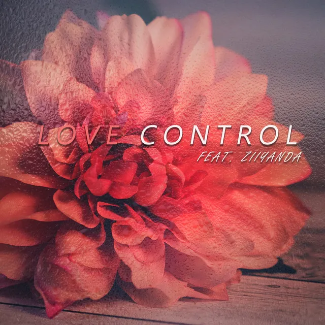 Love Control - Instrumental