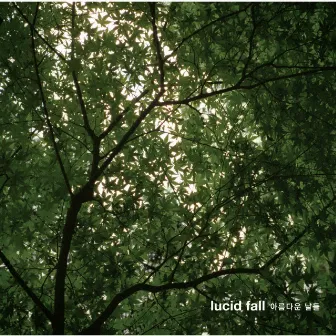 Beautiful Days by Lucid Fall