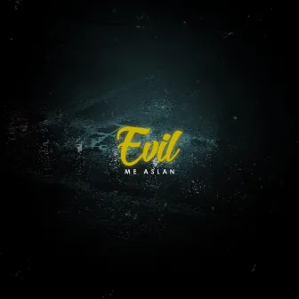 Evil by Me Aslan