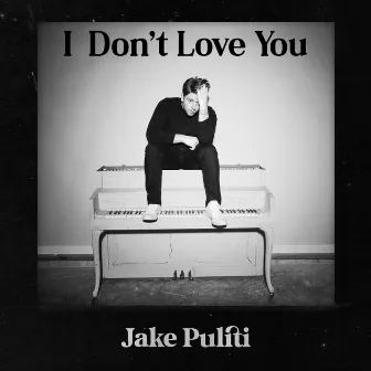 I Don't Love You by Jake Puliti