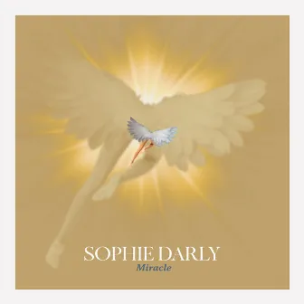 Miracle by Sophie Darly