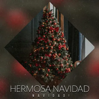 Hermosa Navidad by Navidad