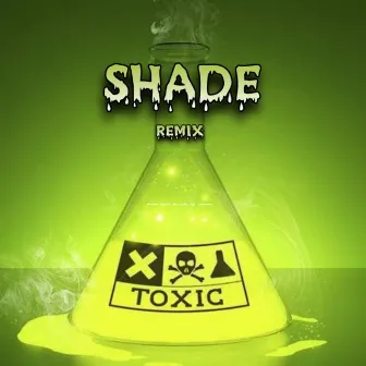 Shade (Remix) by Anaya Zaki