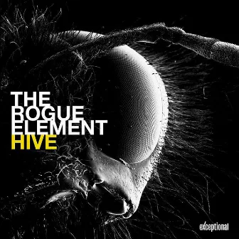 Hive by The Rogue Element