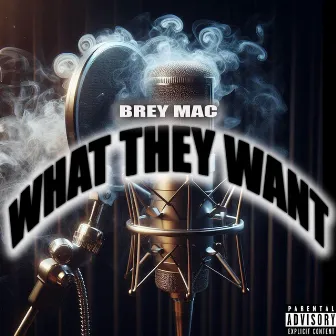 What They Want by Brey Mac