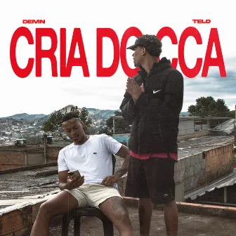 CRIA DO CCA by Telo