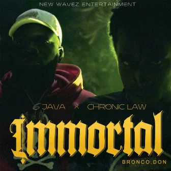 Immortal by Java