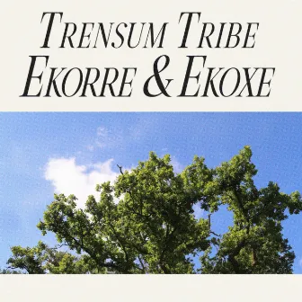 Ekorre & Ekoxe by Trensum Tribe