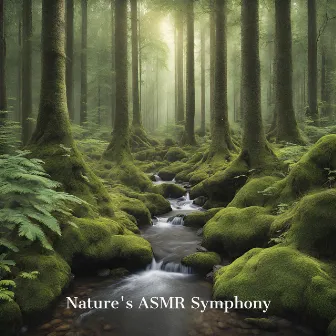 Nature's ASMR Symphony: Discover Tranquility through Forest Rustles to Stream Whispers by ASMR Zone