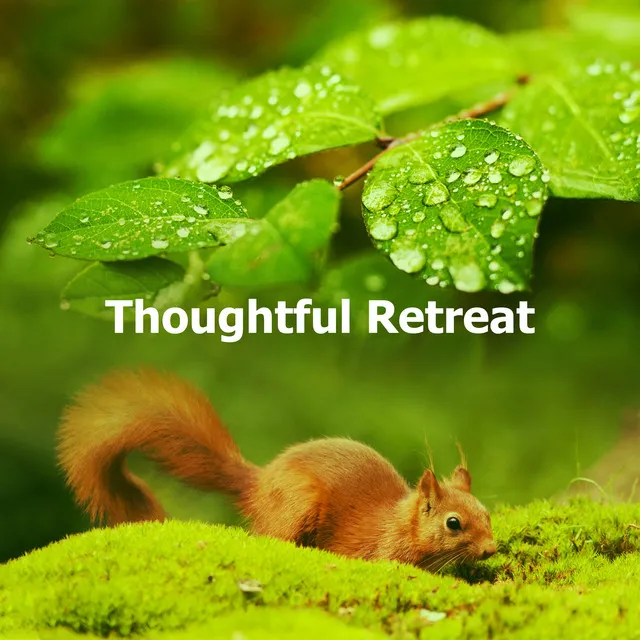 Thoughtful Retreat