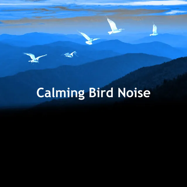 Calming Bird Noise