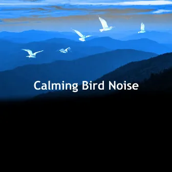 Calming Bird Noise by Nano Sounds