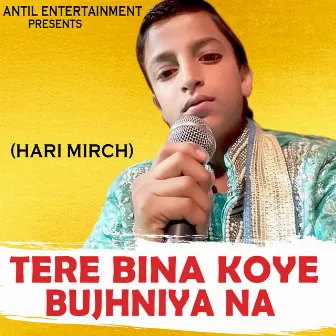 Tere Bina Koye Bujhniya Na by Hari Mirch