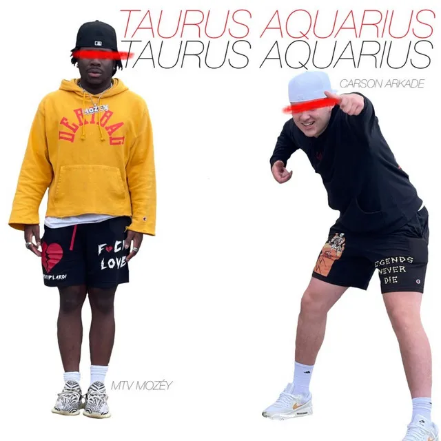 Taurus Aquarius