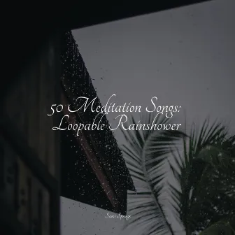 50 Meditation Songs: Loopable Rainshower by Rain