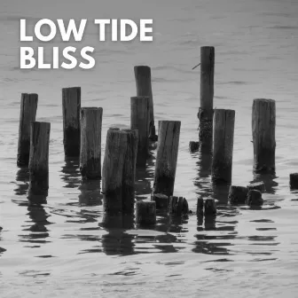 Low Tide Bliss by Island Nature Sounds