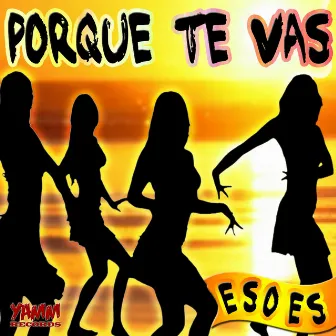 Porque Te Vas - Single by Linda Lee