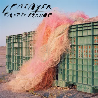 Erotic Reruns by Yeasayer