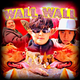 WALL WALL by Black100youan