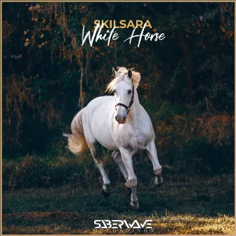 White Horse by Skilsara