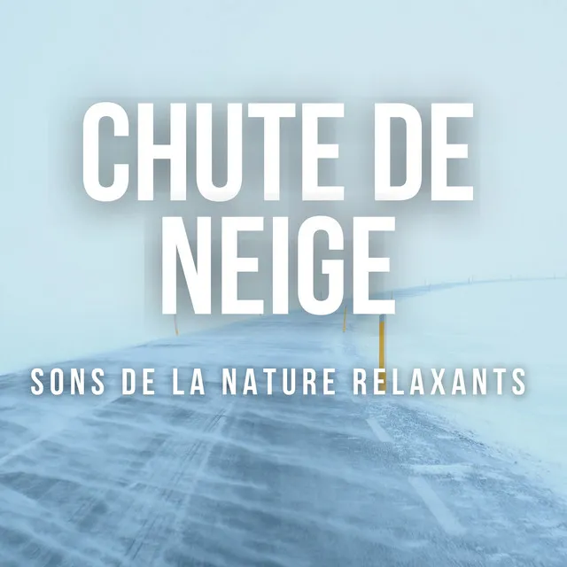 Tempête de neige cheminée détente