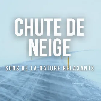 Fortes chutes de neige by Relaxing Nature Sounds