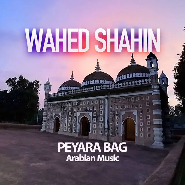 Peyara Bag Arabian Music