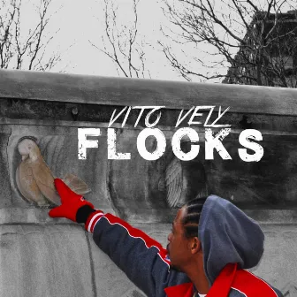 Flocks by Vito Vely