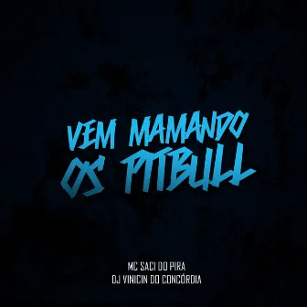 Vem Mamando os Pitbull by Dj Vinicin do Concórdia