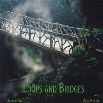 Loops and Bridges by Oddrun Eikli