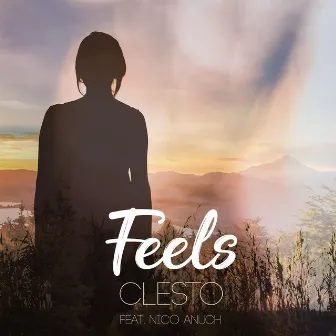 Feels (Radio Edit) by Clesto