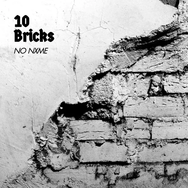 10 Bricks