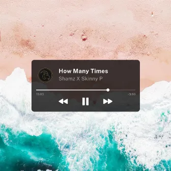 How Many Times by Skinny P