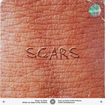 Scars by Dalas