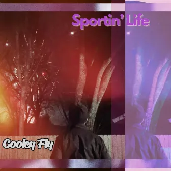 Sportin' Life by Cooley Fly