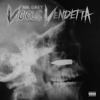 Vicious Vendetta by Mr. Grey