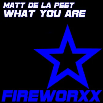 What You Are by Matt De La Peet