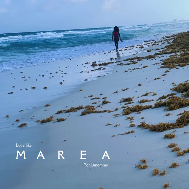 Marea