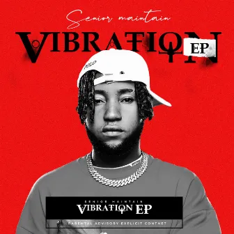 Vibration EP by Senior Maintain