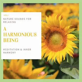 A Harmonious Being - Nature Sounds For Relaxing, Meditation & Inner Harmony Vol.1 by Mind Body Soul Healing and Meditation Ambient Melodies