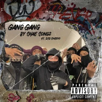 GANG GANG by SHAE SONGZ