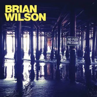 No Pier Pressure by Brian Wilson